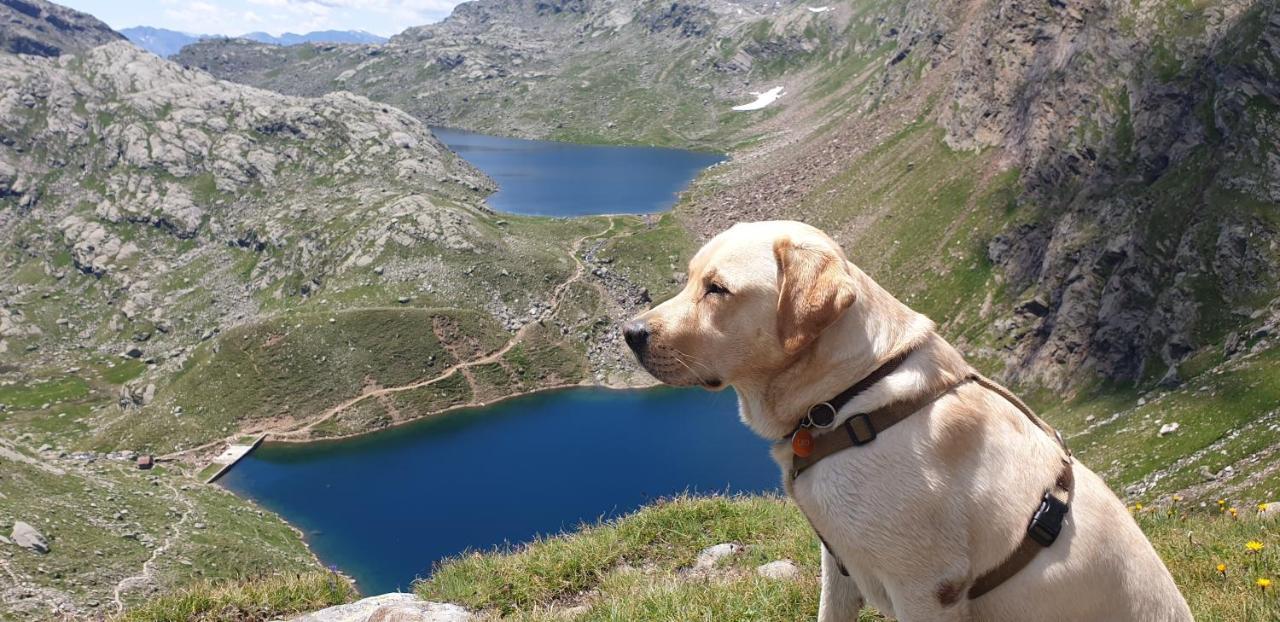 Pension Brunhild San Leonardo in Passiria Kültér fotó